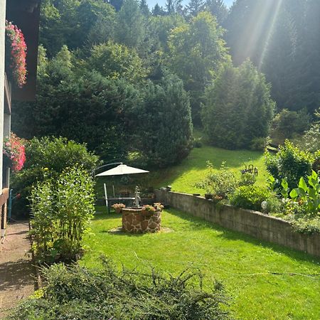 Pension Ernst Im Herzen Des Pfaelzerwaldes Mit Kueche 호텔 Elmstein 외부 사진