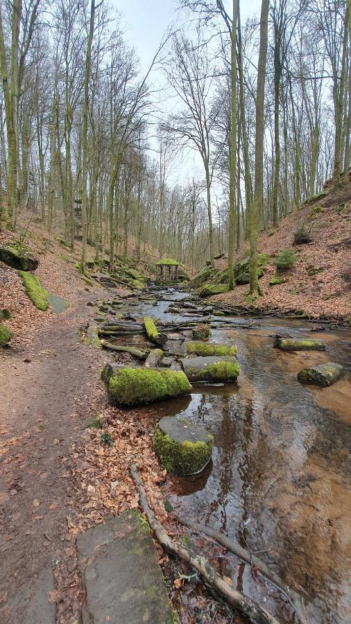 Pension Ernst Im Herzen Des Pfaelzerwaldes Mit Kueche 호텔 Elmstein 외부 사진