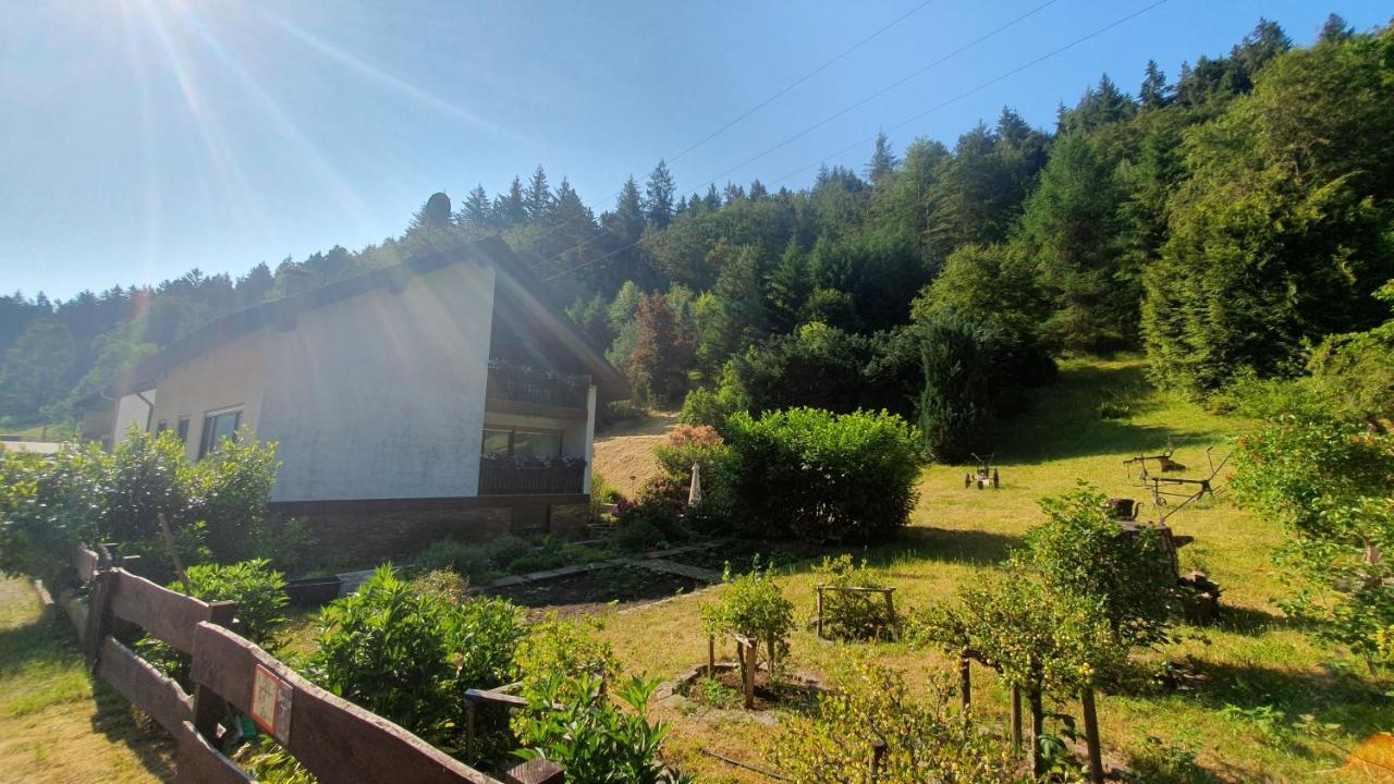 Pension Ernst Im Herzen Des Pfaelzerwaldes Mit Kueche 호텔 Elmstein 외부 사진