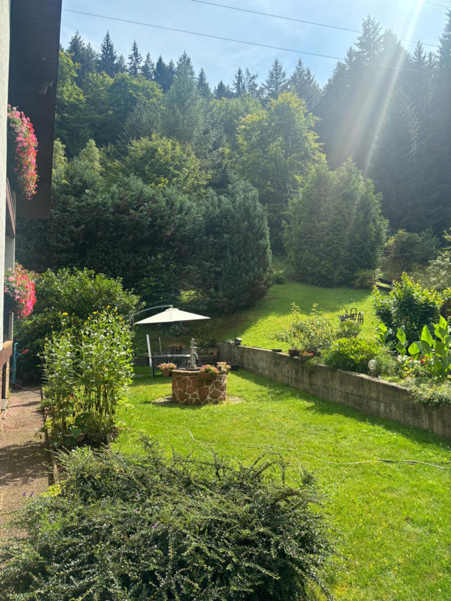 Pension Ernst Im Herzen Des Pfaelzerwaldes Mit Kueche 호텔 Elmstein 외부 사진