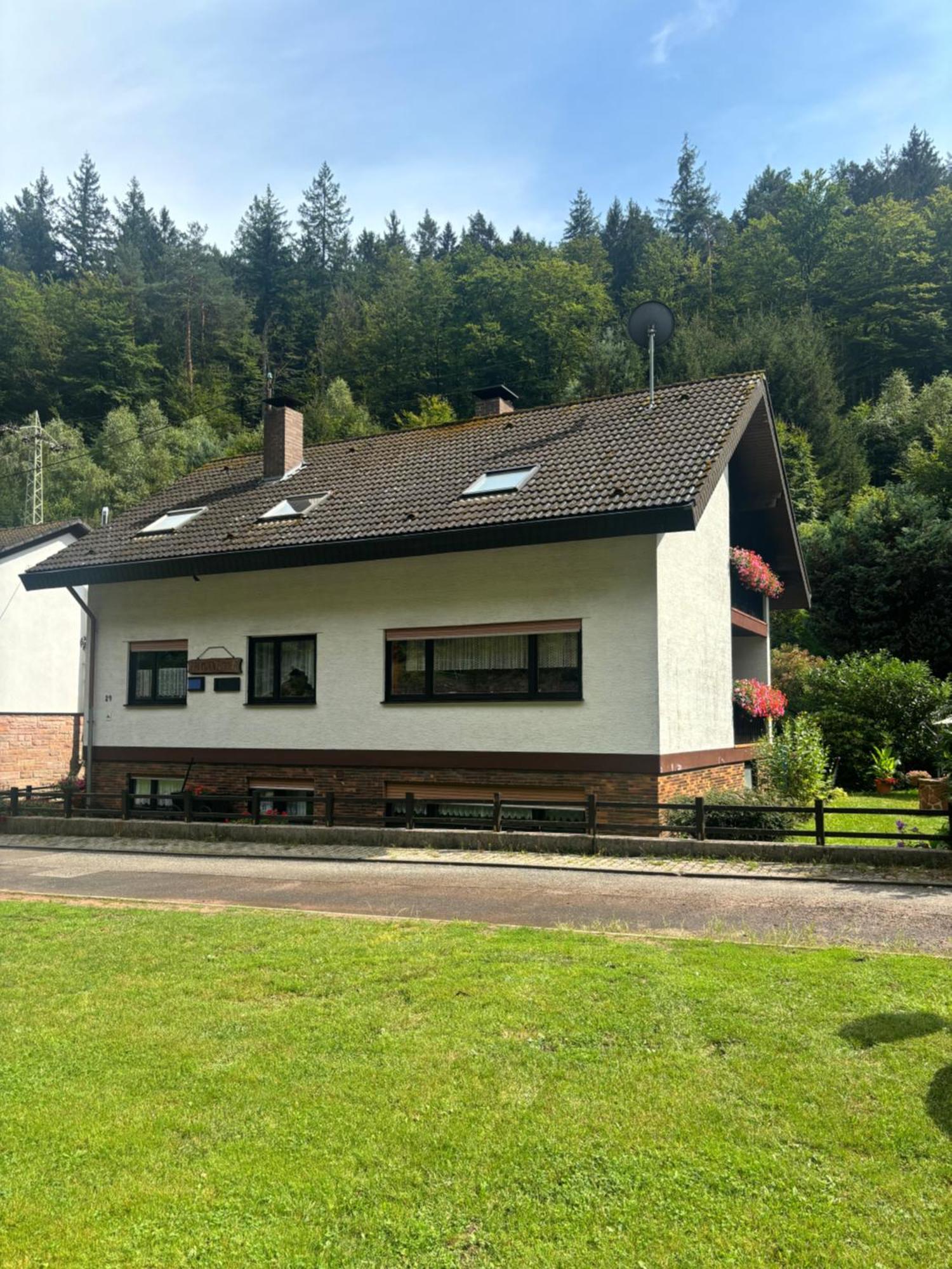 Pension Ernst Im Herzen Des Pfaelzerwaldes Mit Kueche 호텔 Elmstein 외부 사진